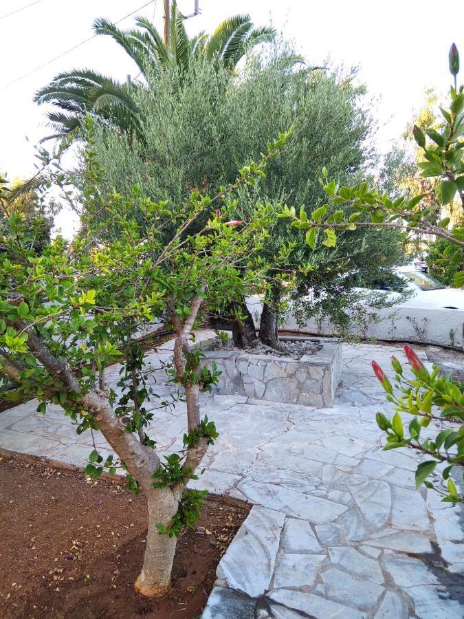 Cretanvibes Apartments Hersonissos  Exteriér fotografie